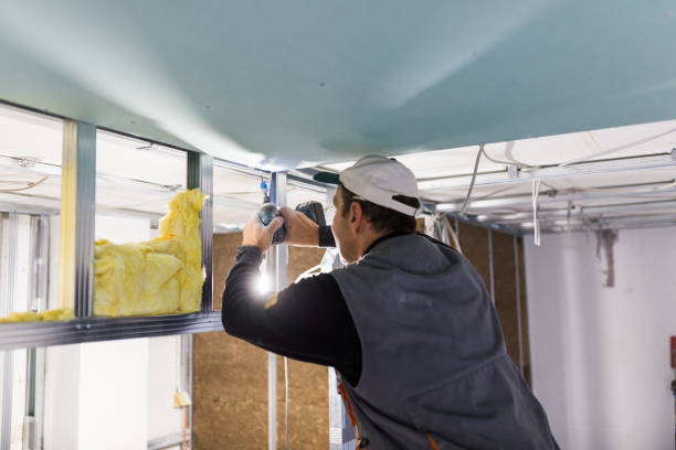 Best Spray Foam Insulation  in USA